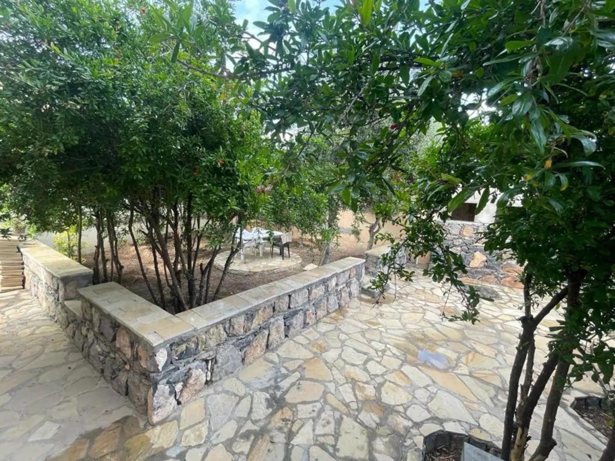Rose Guesthouse Al 'Aqar Kültér fotó